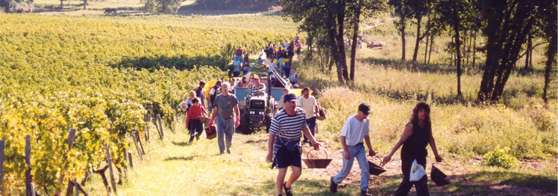 Château Calon