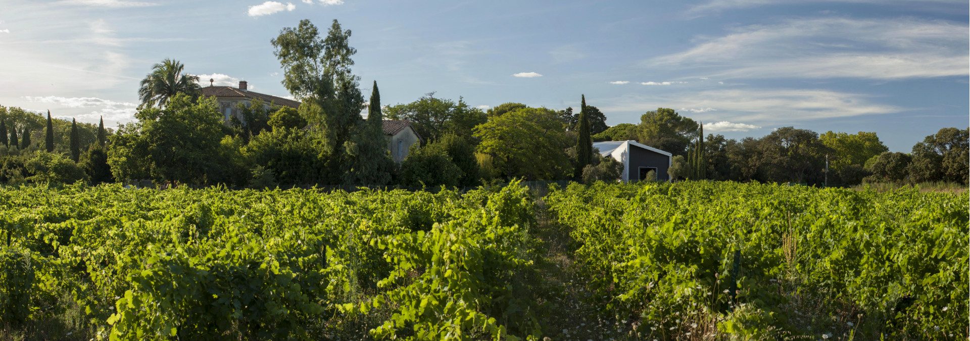 Château de Flaugergues