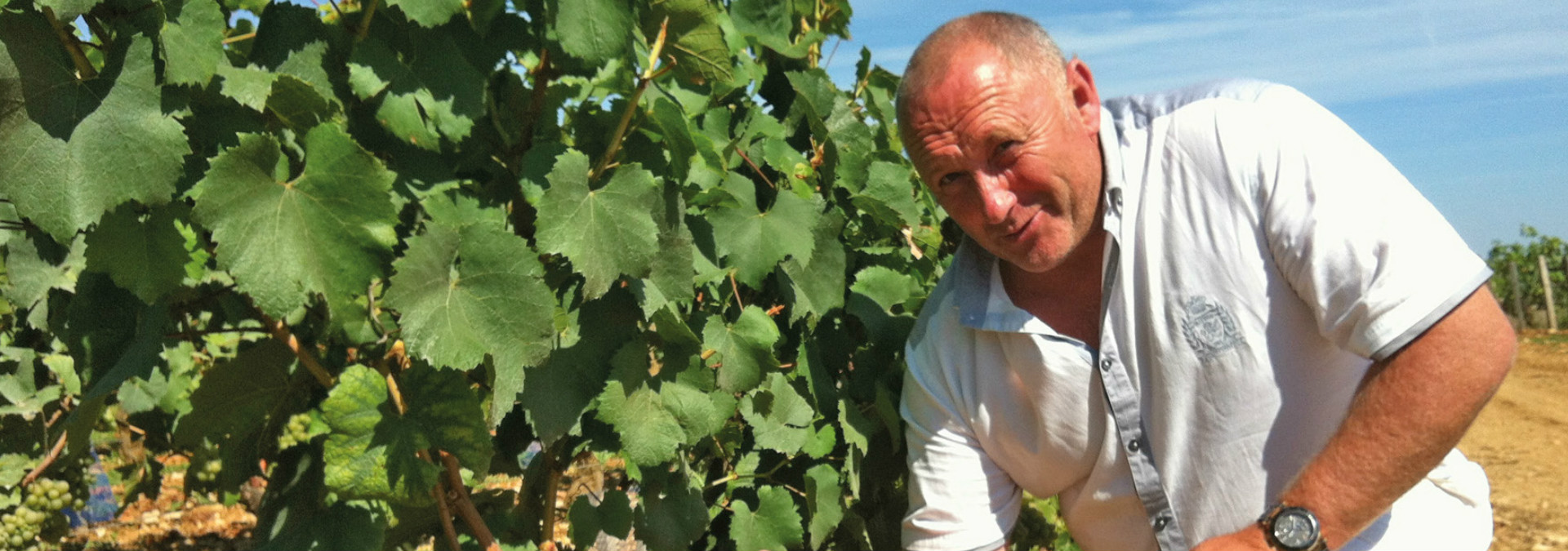 Domaine Guyot