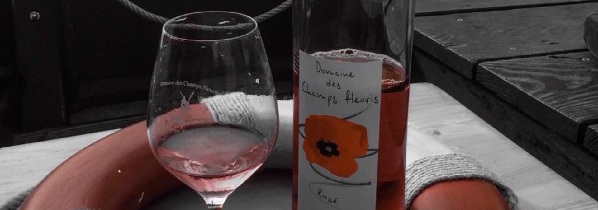 Loire vins aventure