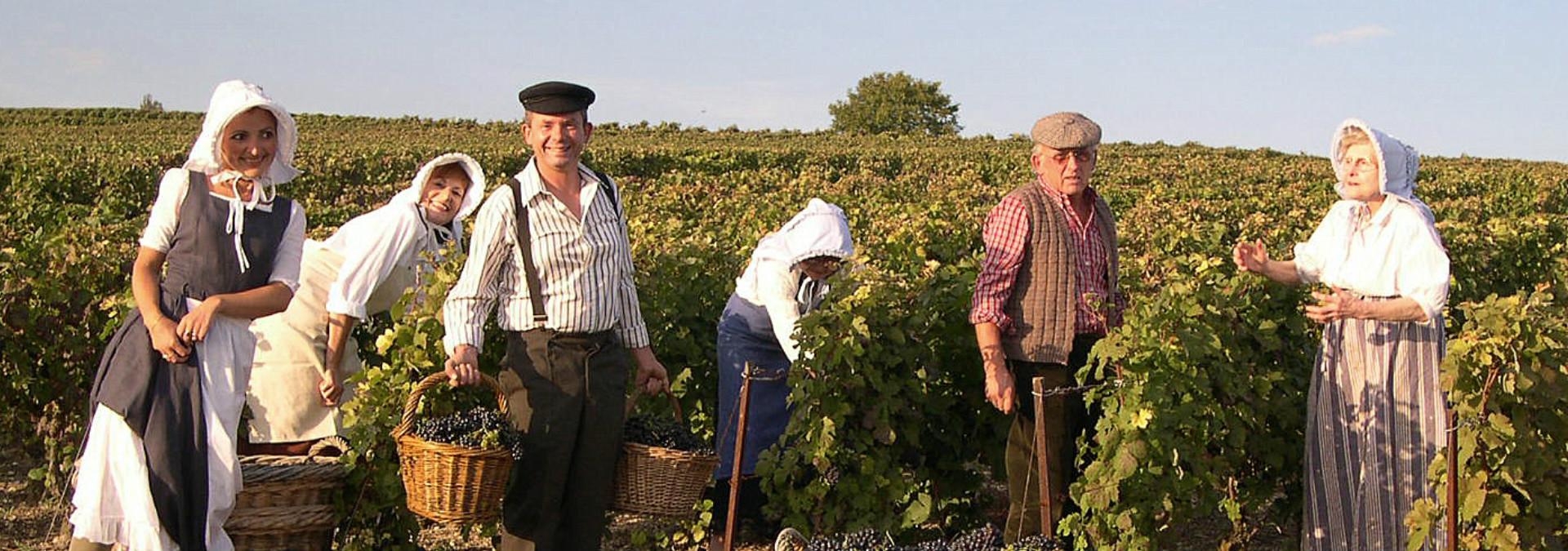 Champagne Météyer