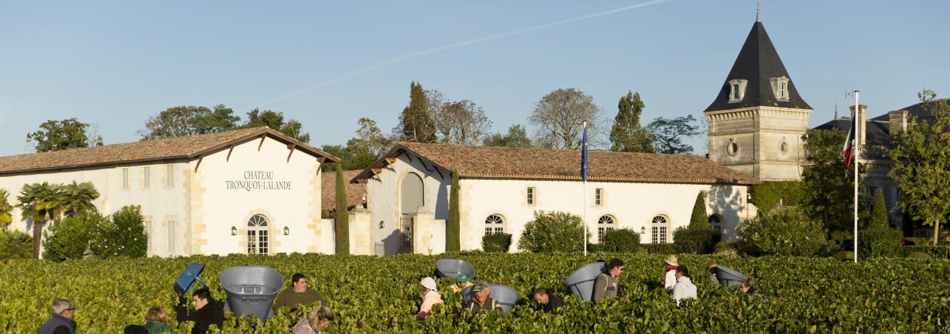 Château Tronquoy-Lalande