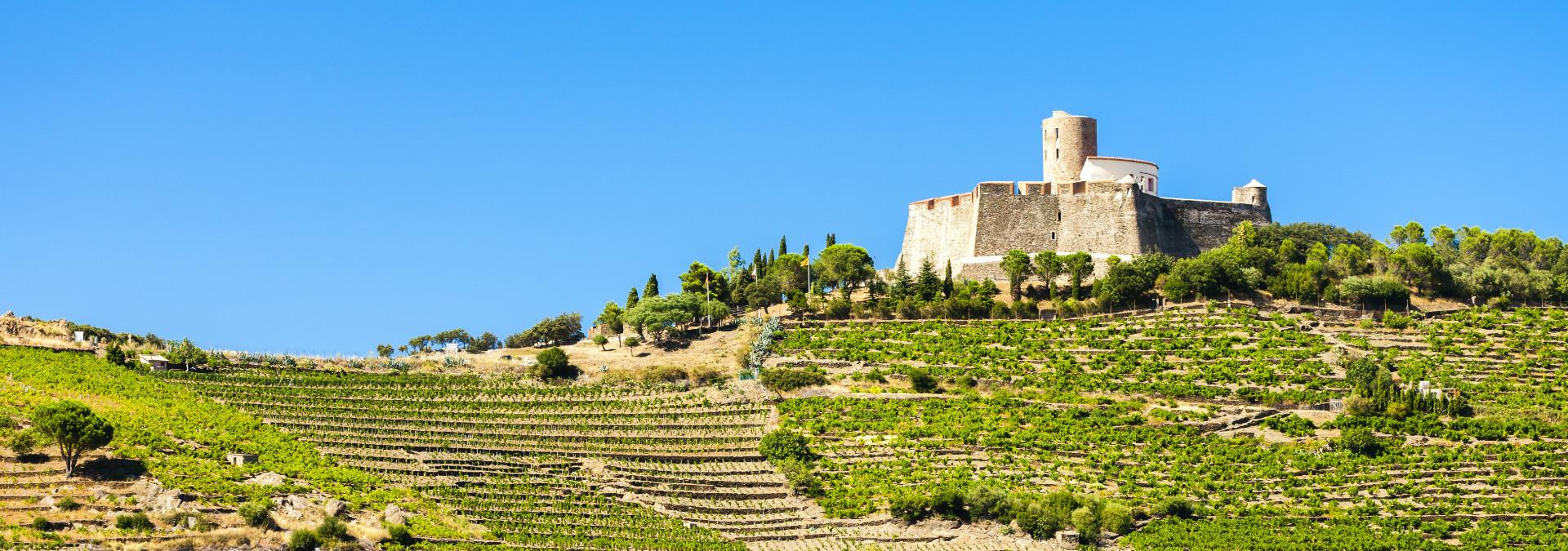 Visite de cave Languedoc-Roussillon