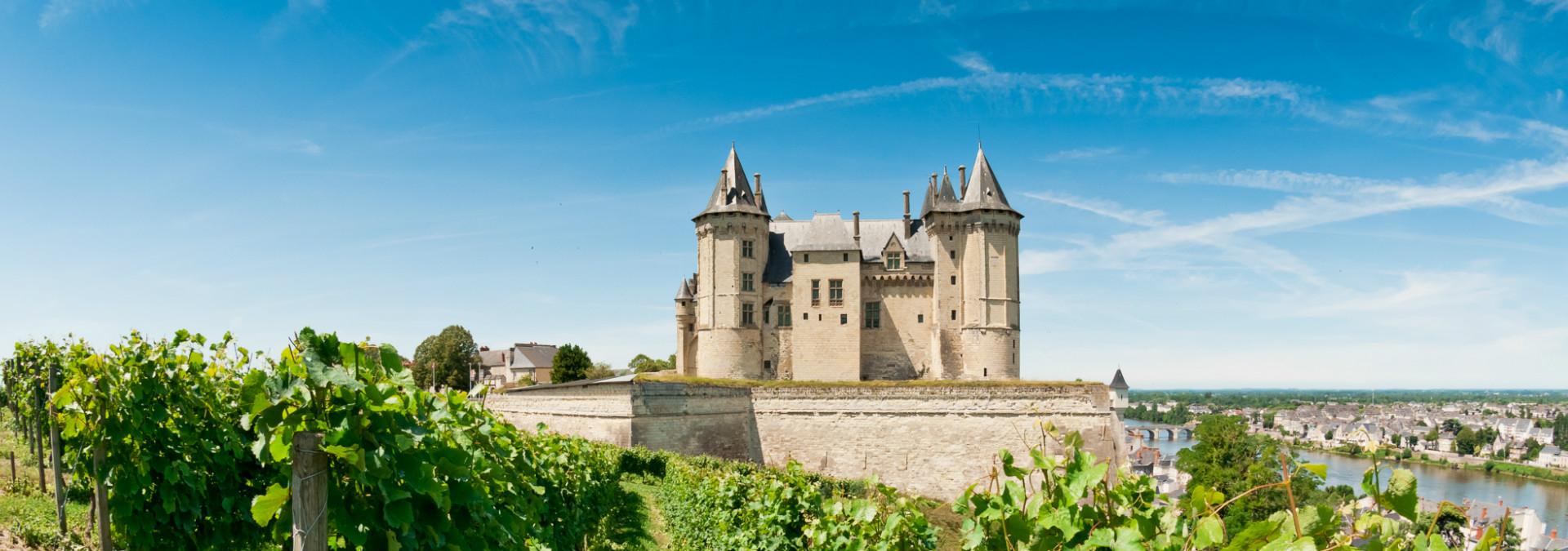 vignoble-loire