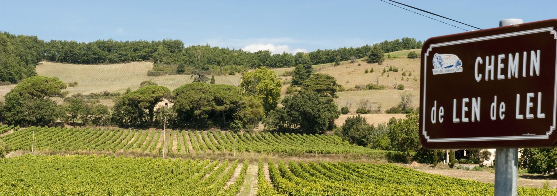 vignoble-sud-ouest