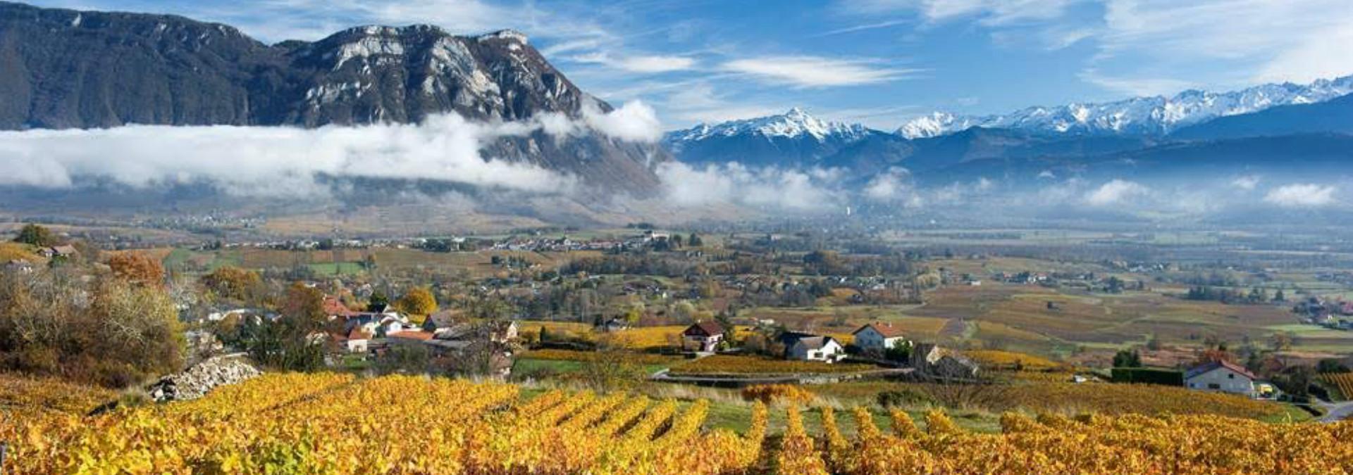 vignoble-savoie-ok