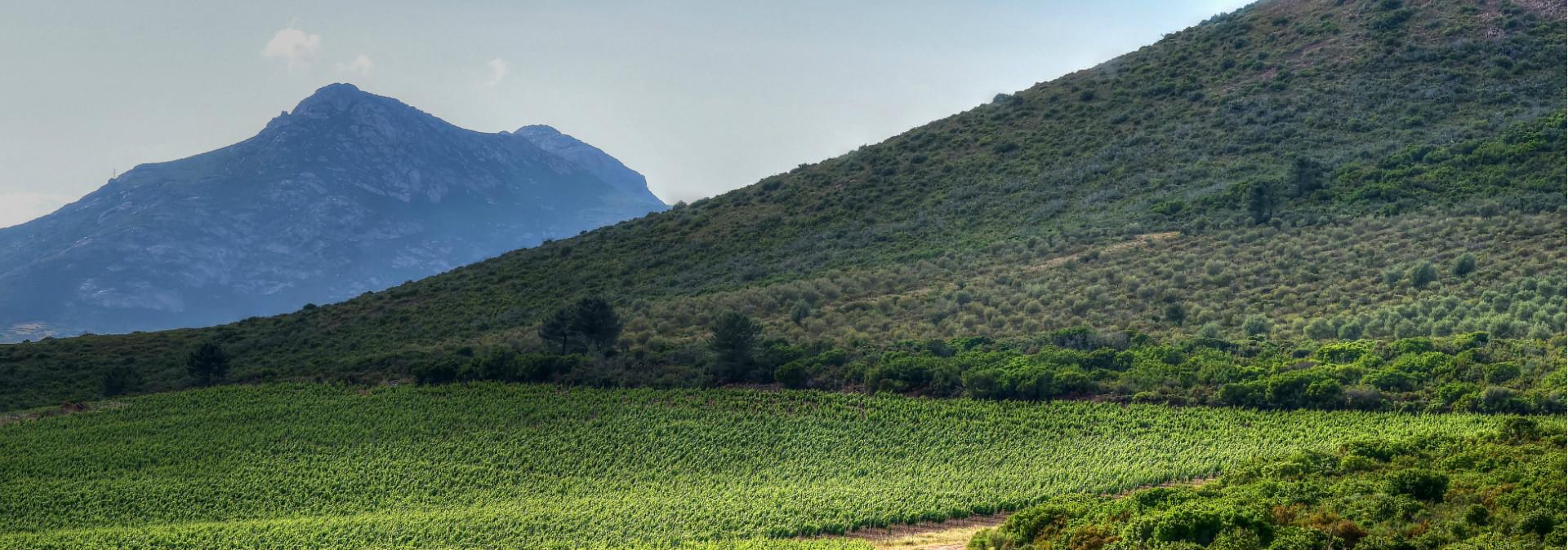 Domaine d’Alzipratu
