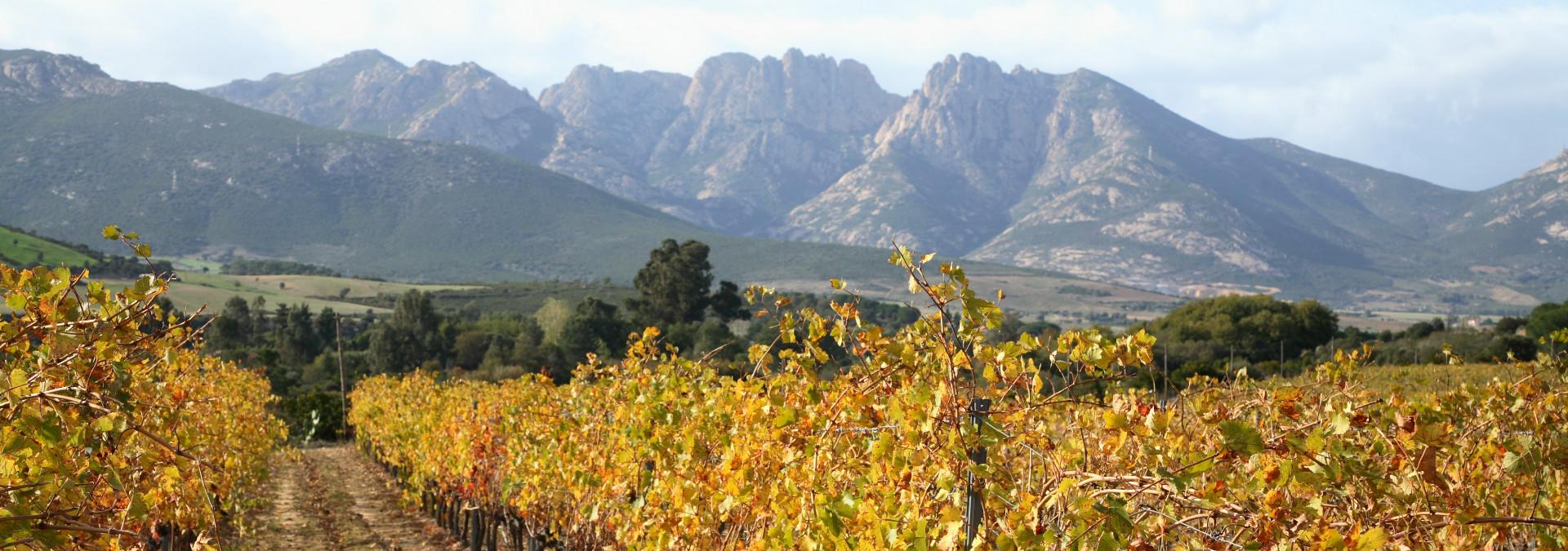 Domaine d’Alzipratu