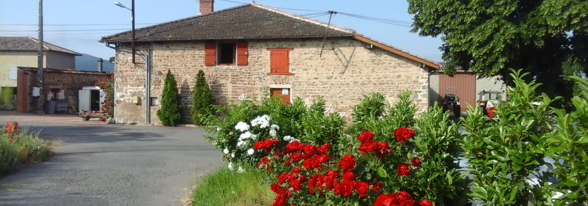 Domaine des Braves