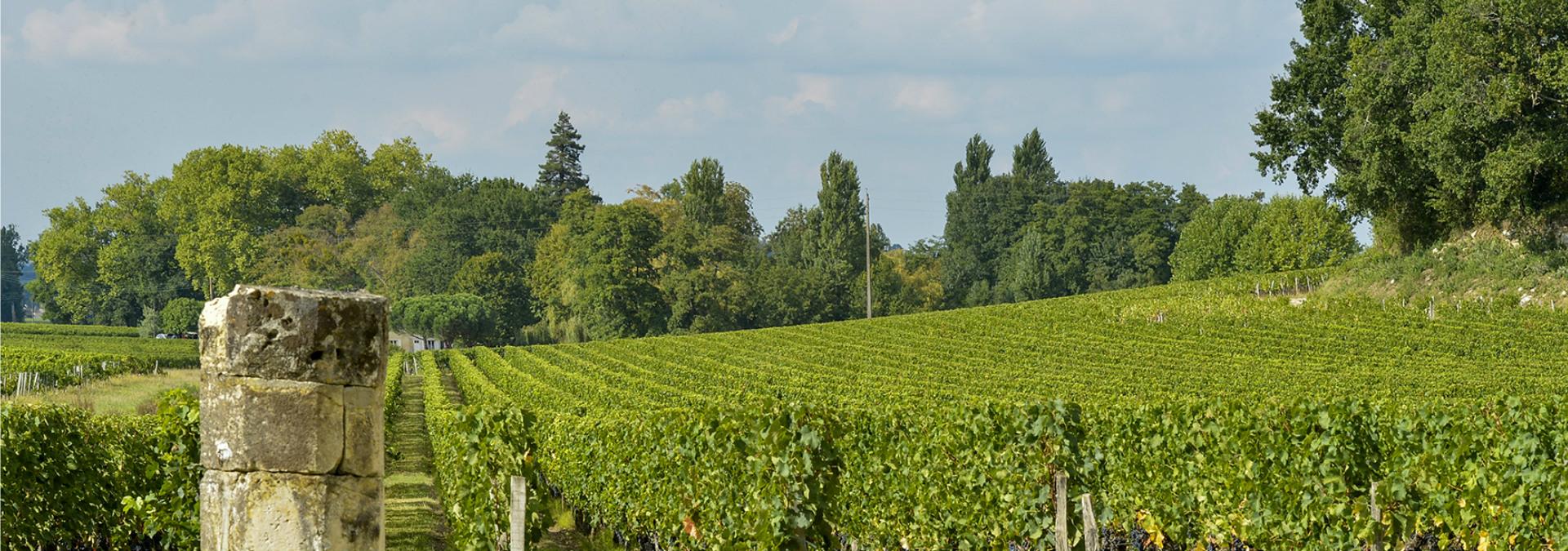 Vignobles Carles