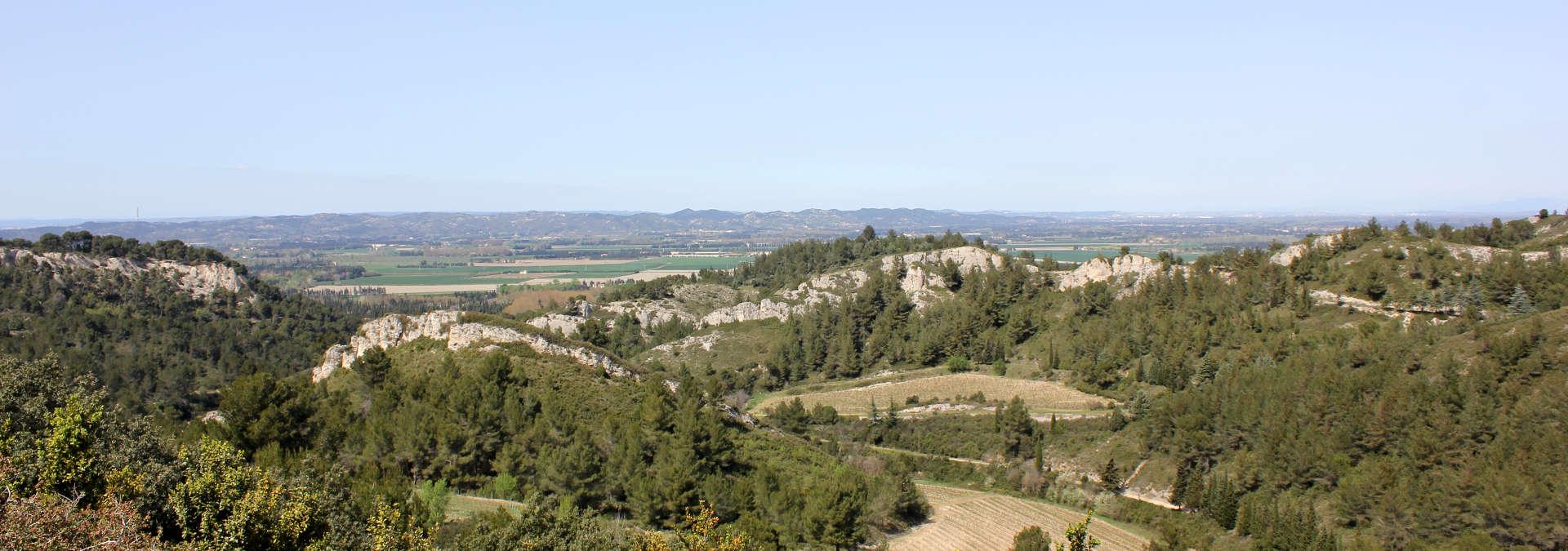 Domaine Dalmeran