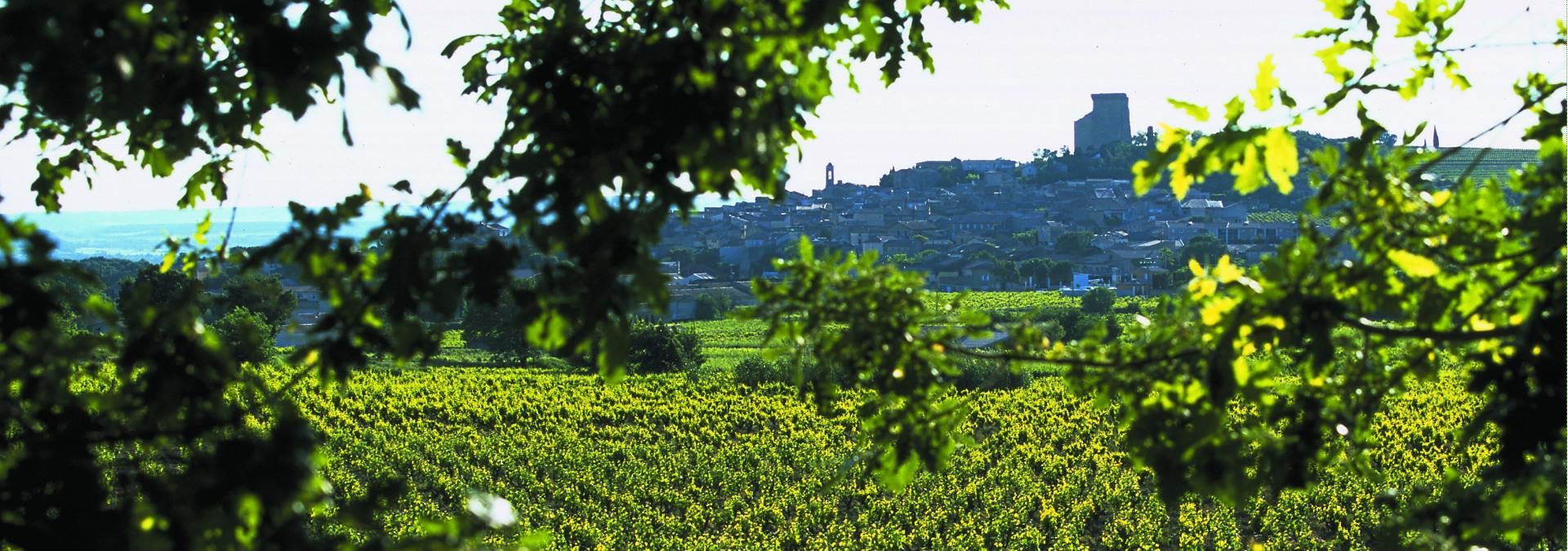 Vignobles Famille Quiot