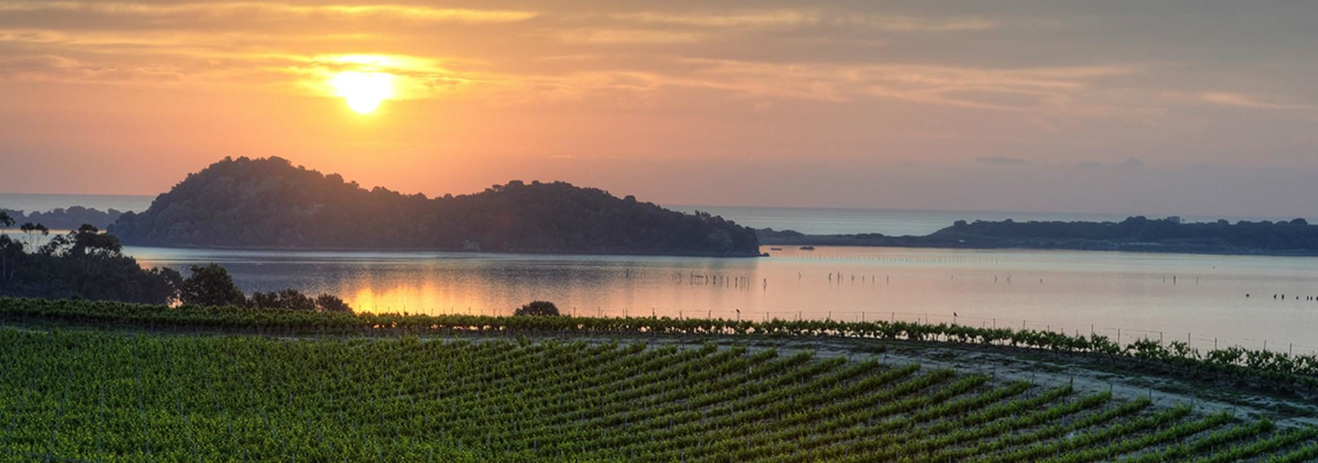 Domaine Terra Vecchia Clos Poggiale