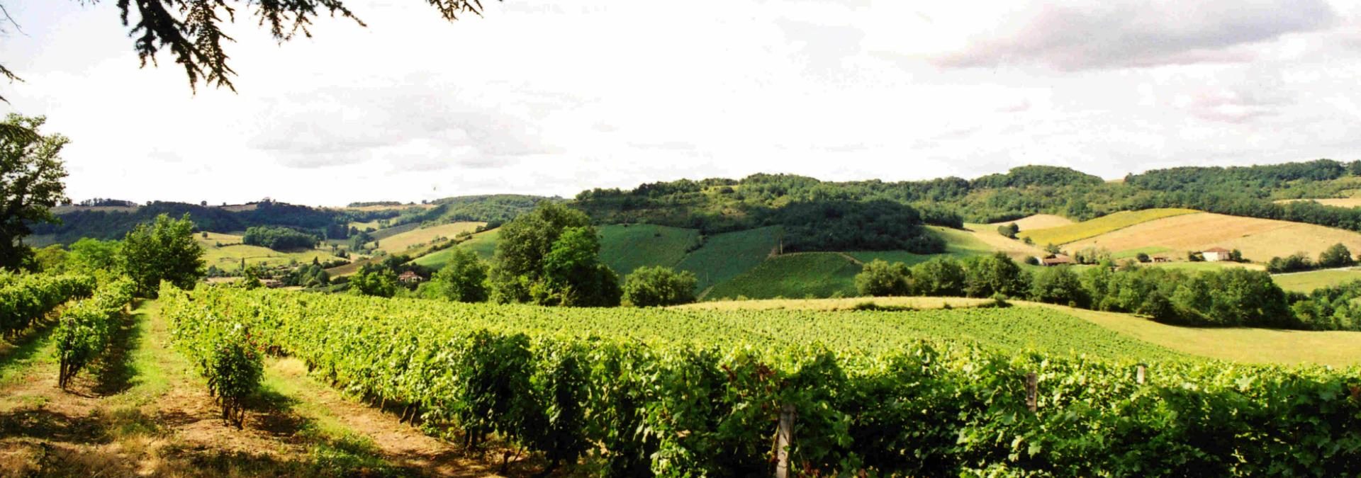 Domaine Labastide Orliac