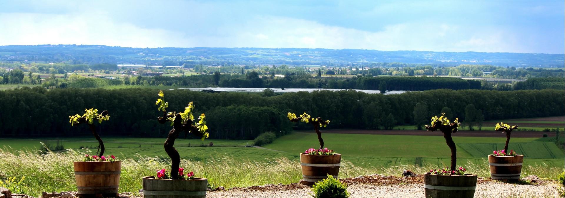 Domaine Labastide Orliac