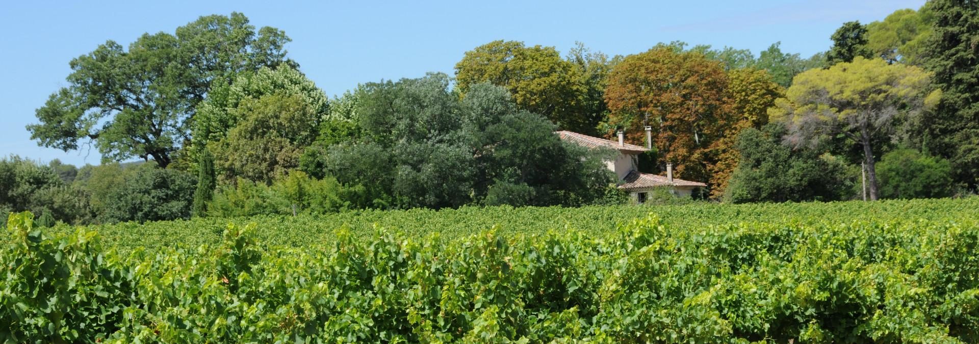 Domaine d’Aigues Belles