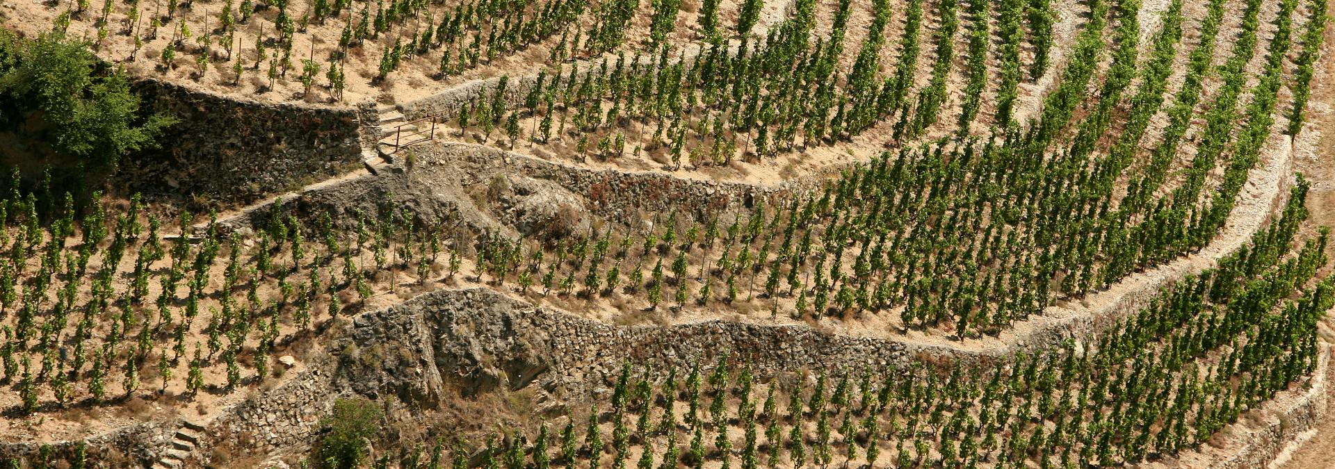 cave-de-tain-1-2