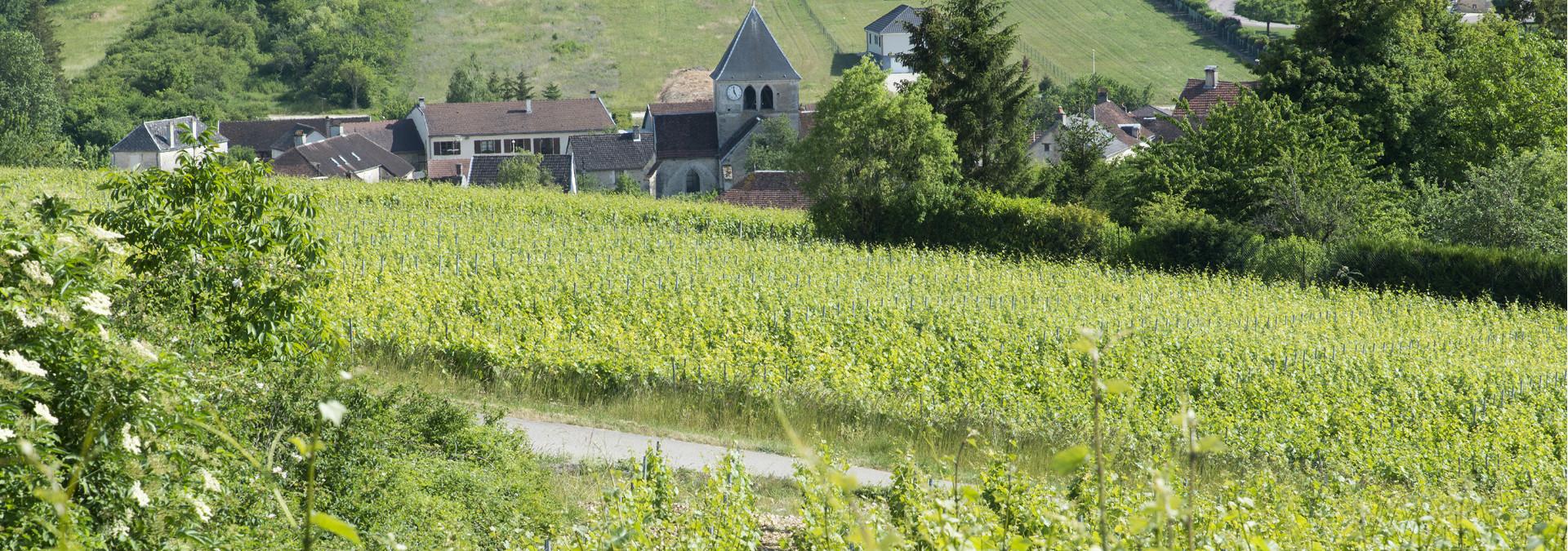 domaine-gremillet-2-2