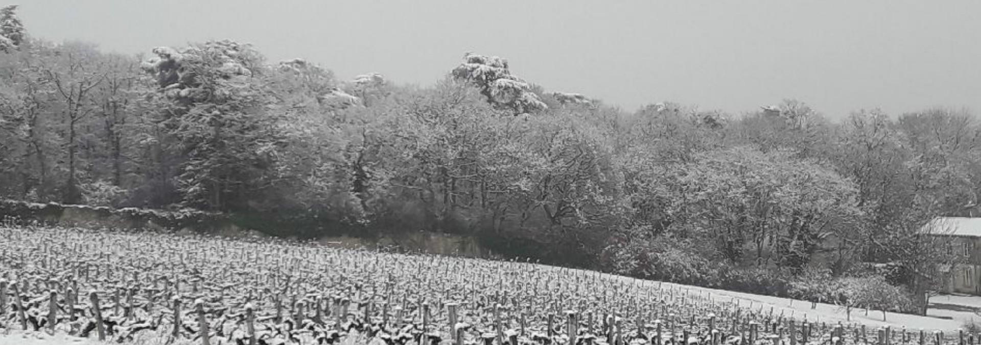 Domaine Jean-Pierre Rivière