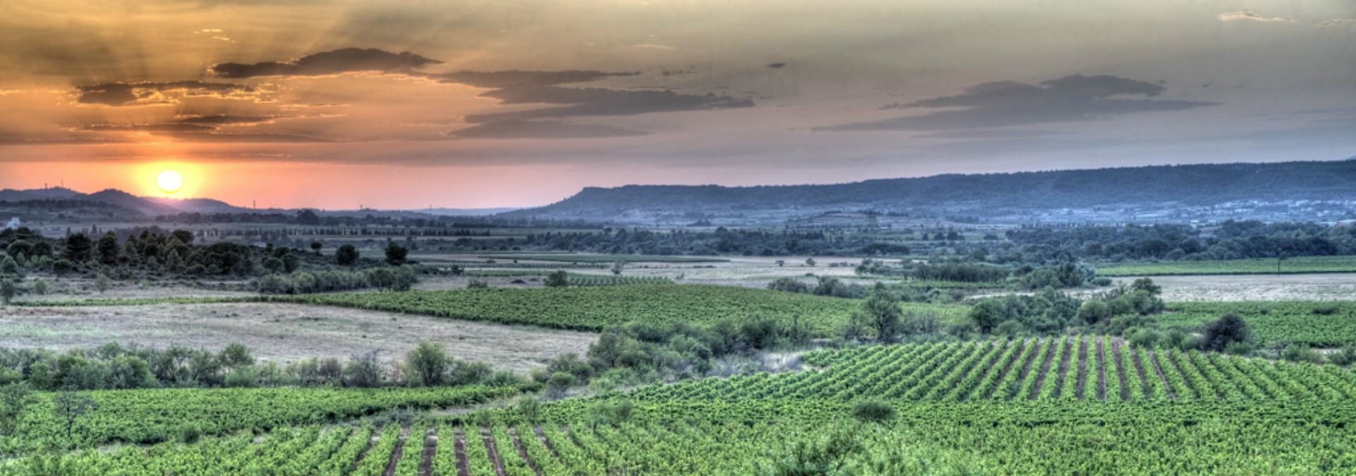 Domaine Enclos de la Croix