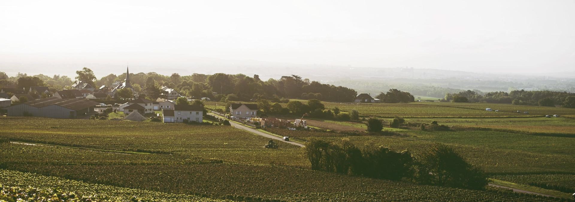 Champagne Cuillier Père & Fils