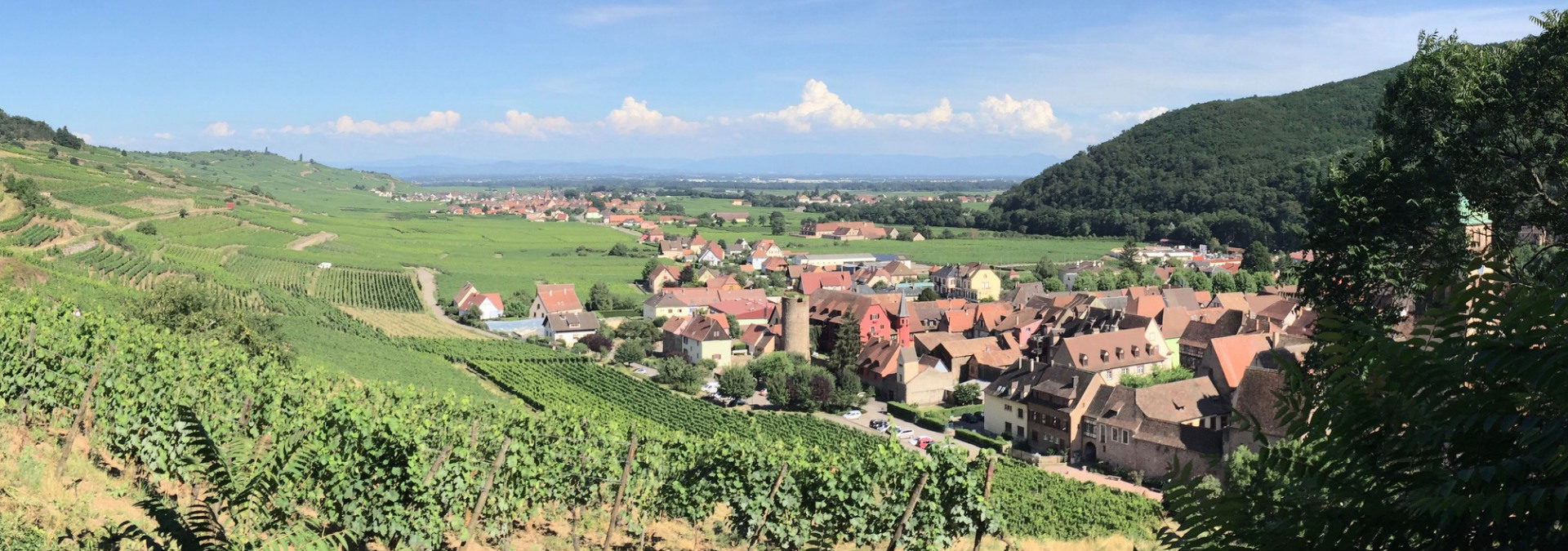 Alsace Original Experiences