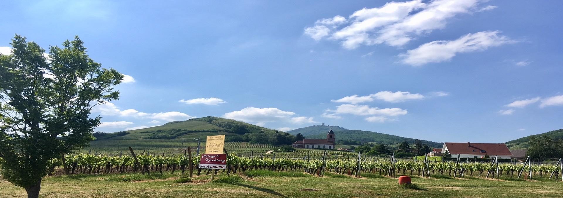 Domaine Achille Thirion