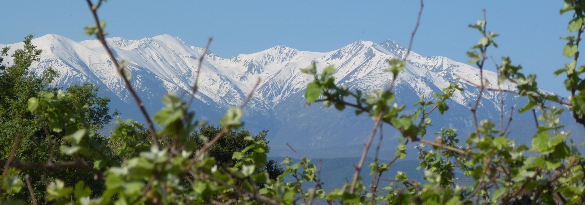 Domaine de Vézian