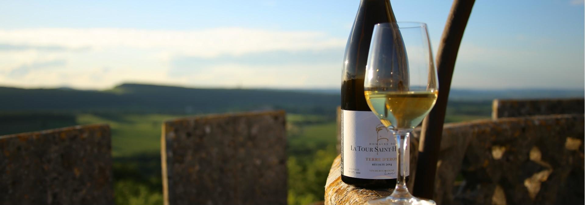 Domaine de la Tour Saint Hilaire