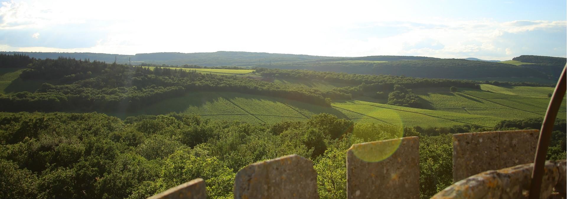 Domaine de la Tour Saint Hilaire