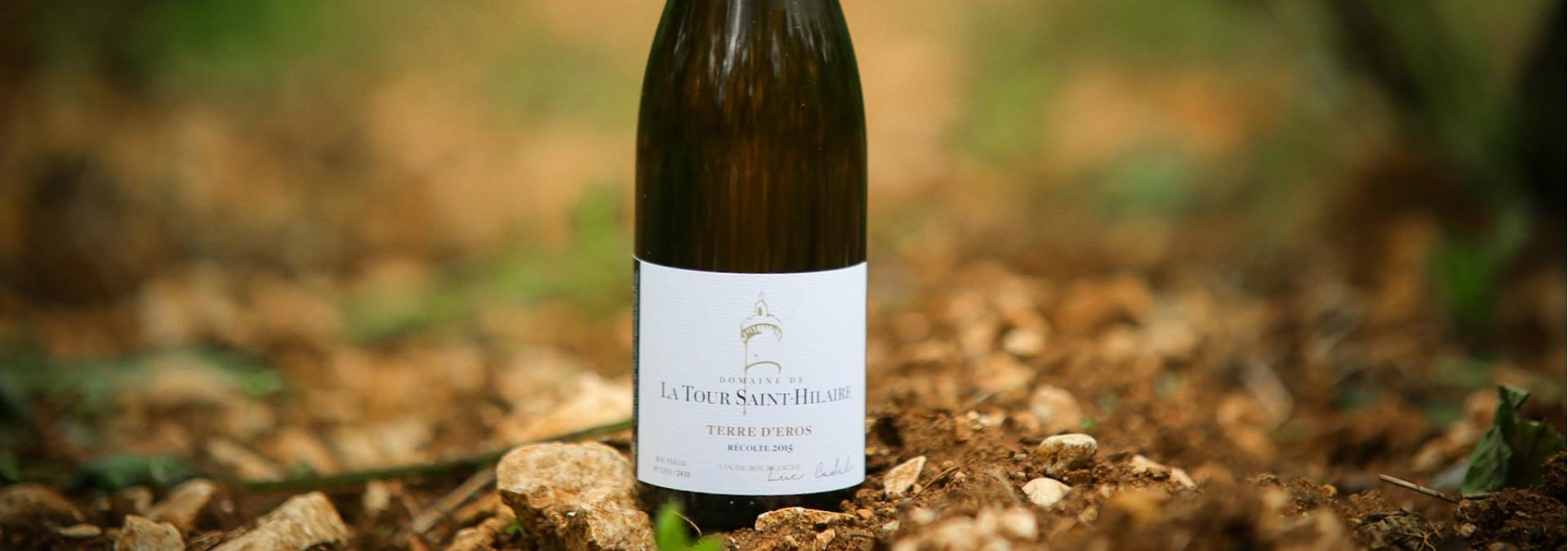 Domaine de la Tour Saint Hilaire