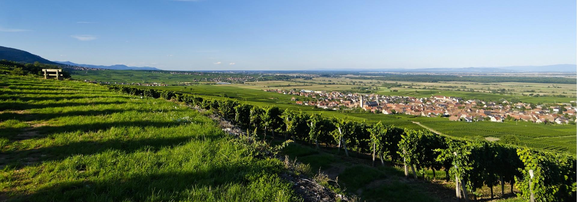 Domaine Rieflé-Landmann