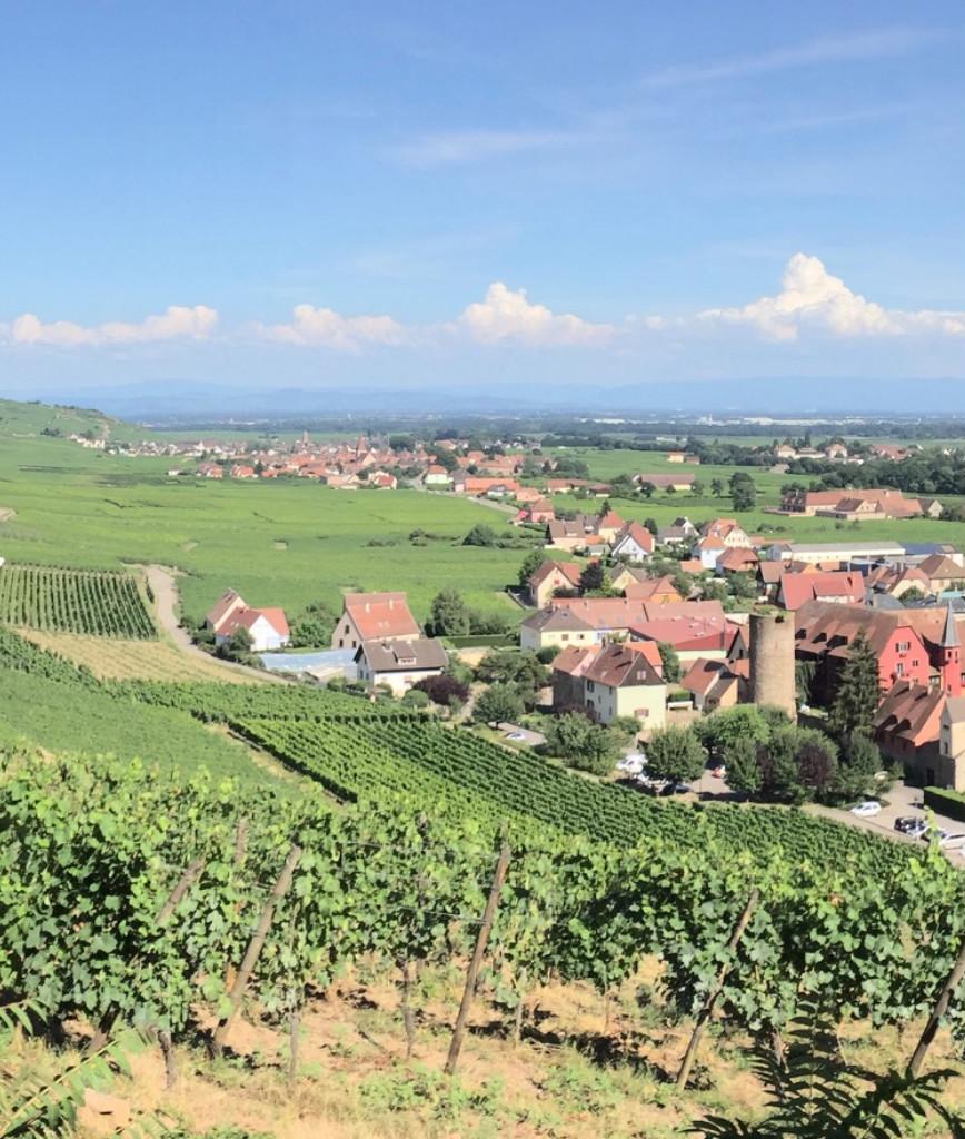 Alsace Original Experiences : les 4 merveilles d’Alsace