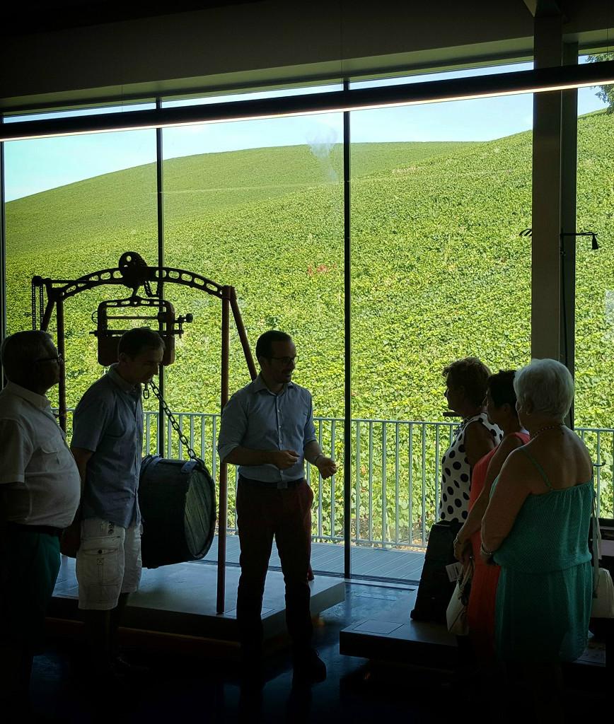 ŒnoSphères : 1 jour découverte, les hauts lieux de la Champagne