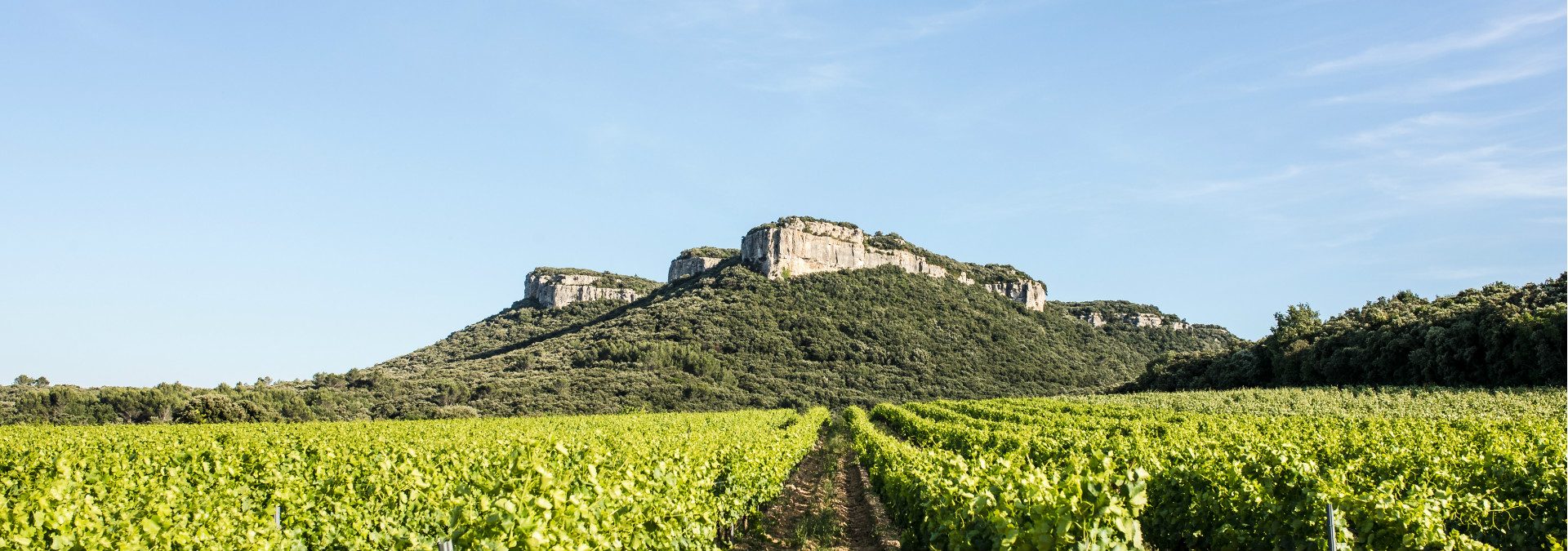 Château Signac