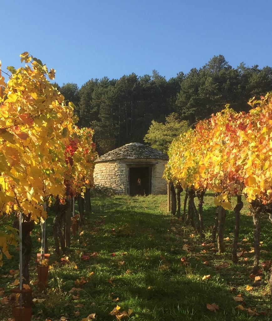 À chacun son escapade : Côte de Nuits & Côte de Beaune