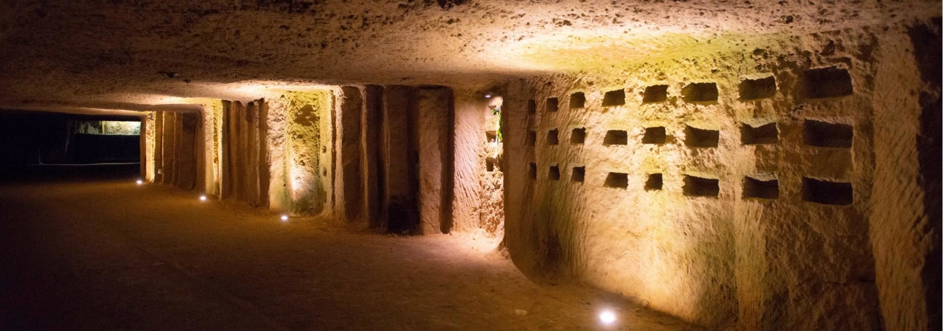 Blanc Foussy- Grandes caves saint roch