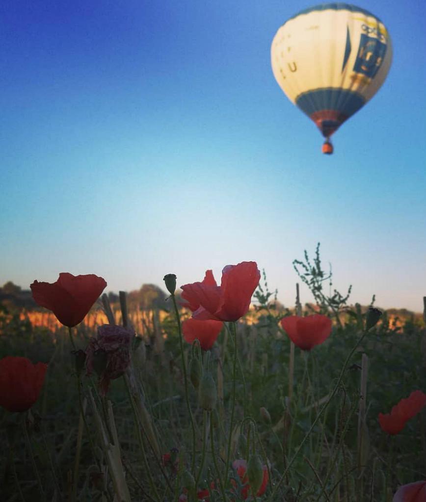 Champagne Cuillier : vol en montgolfière