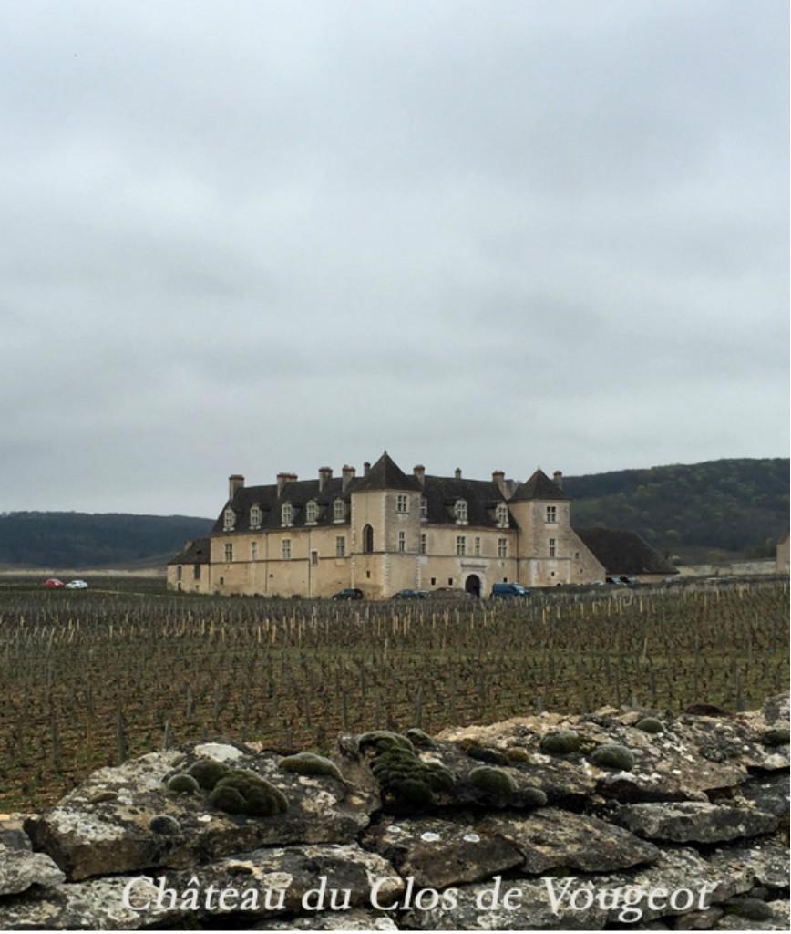 Grape & Galleries : La Bourgogne depuis Paris