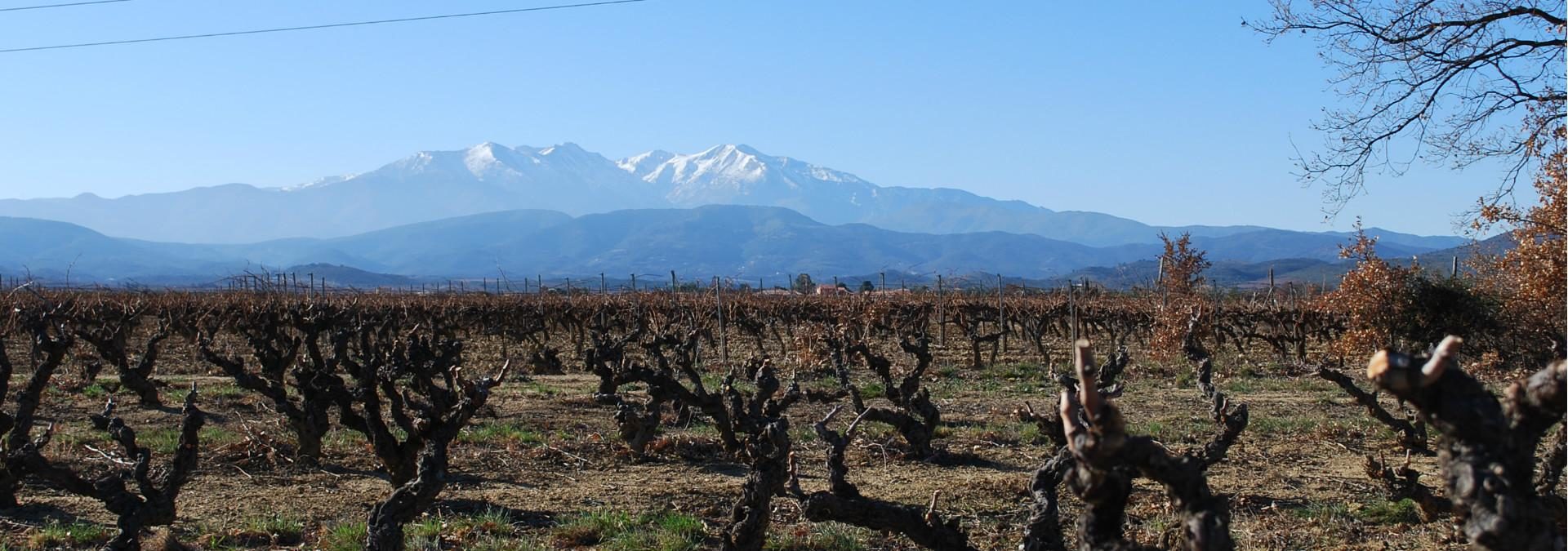 Domaine de la Perdrix