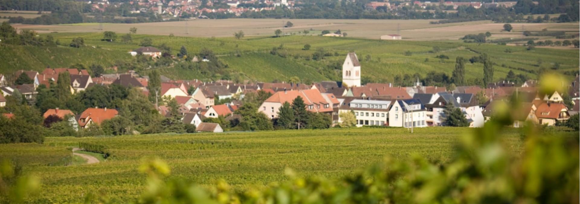 Domaine Berger