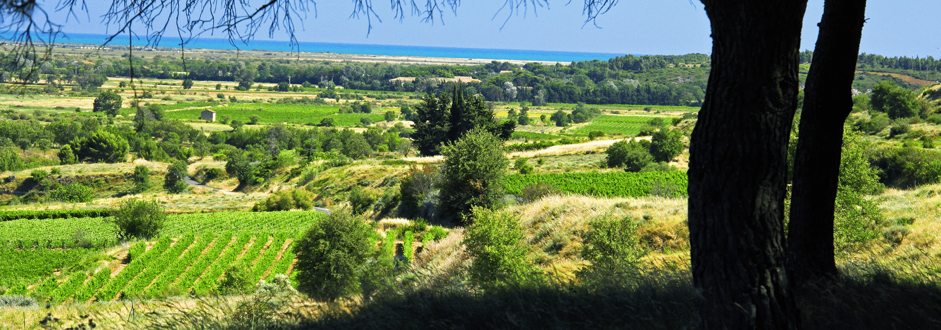 Caveaux d’Ensérune