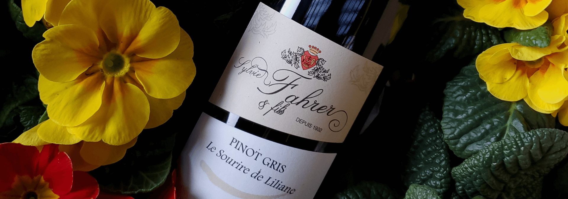 Domaine Sylvie Fahrer & Fils