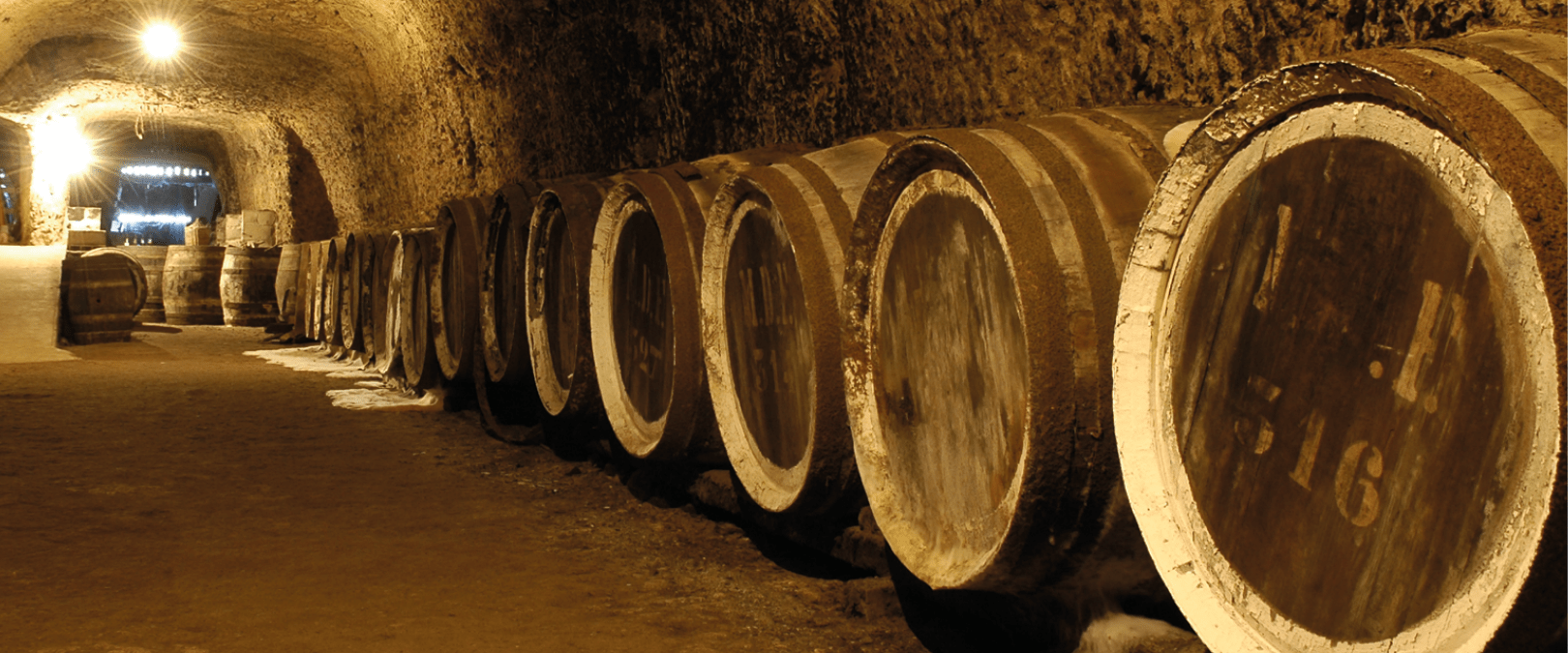 Comment est fait la production du Vin Rouge - Oenotourisme