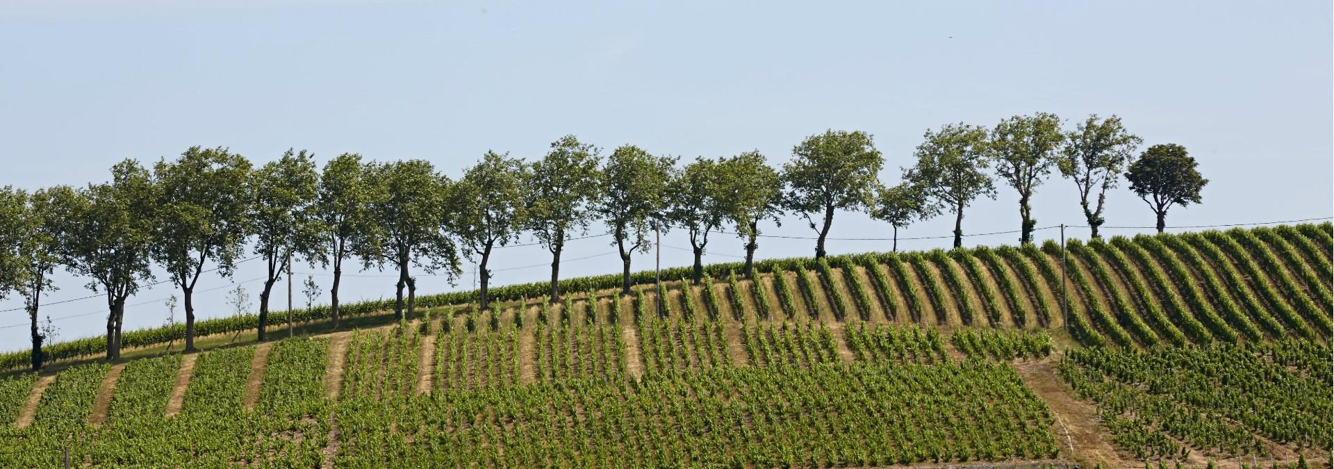 Château de Poncié