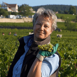 Karoline Knoth - La Bourgogne est à vos pieds