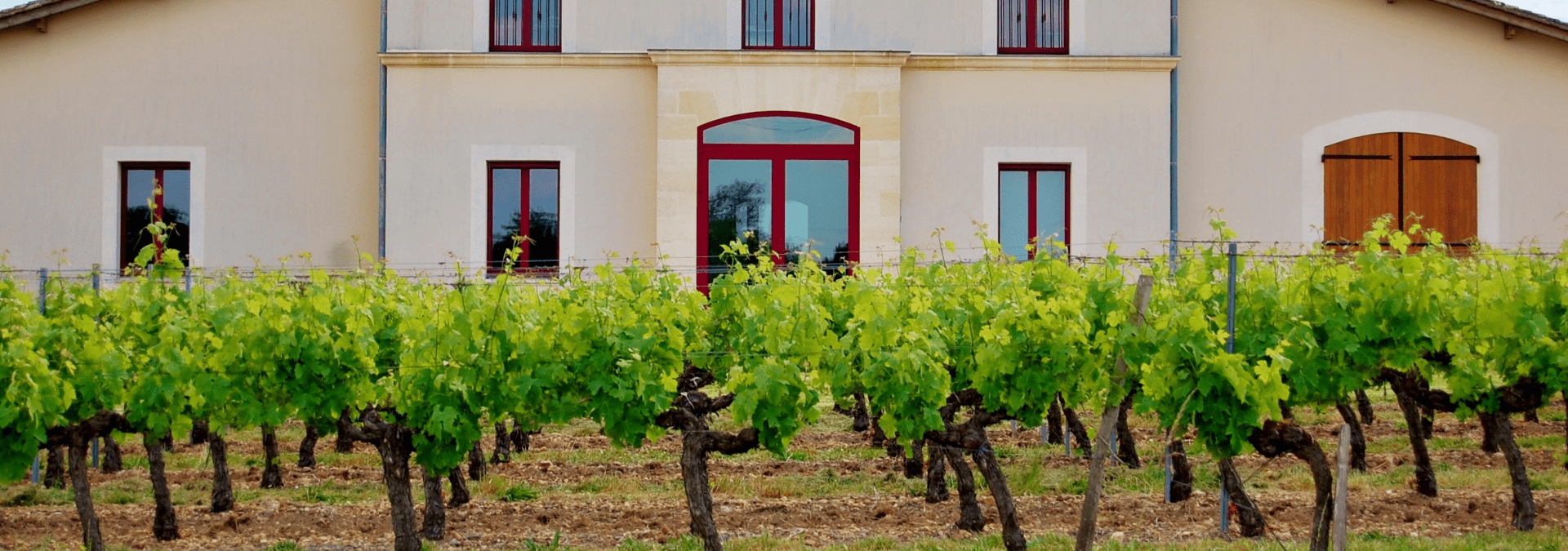 Château Pichon Bellevue