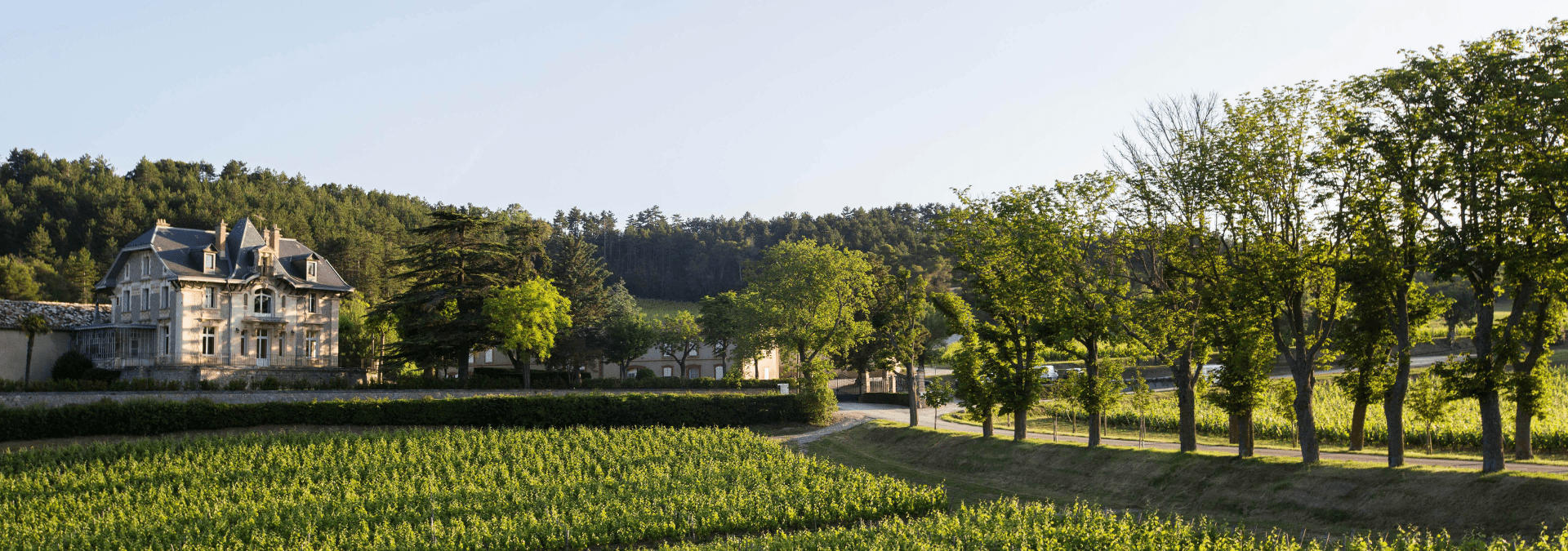 Domaine de Baronarques