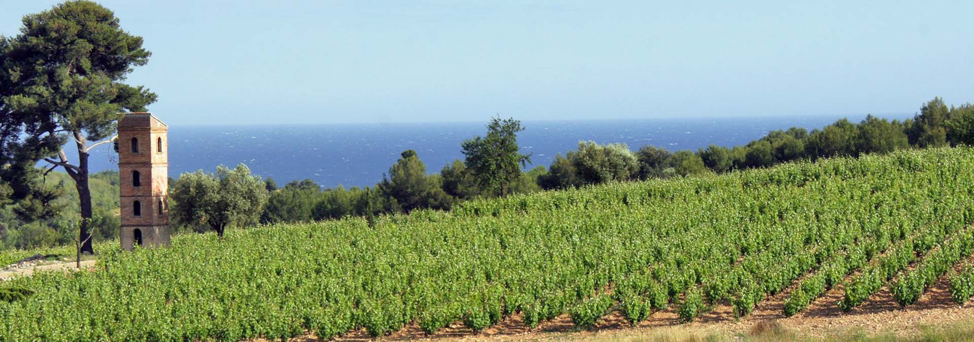 Domaine de Frégate