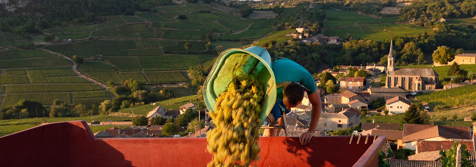 Domaine GAILLARD